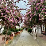 Διαμέρισμα Casa San Miguel *