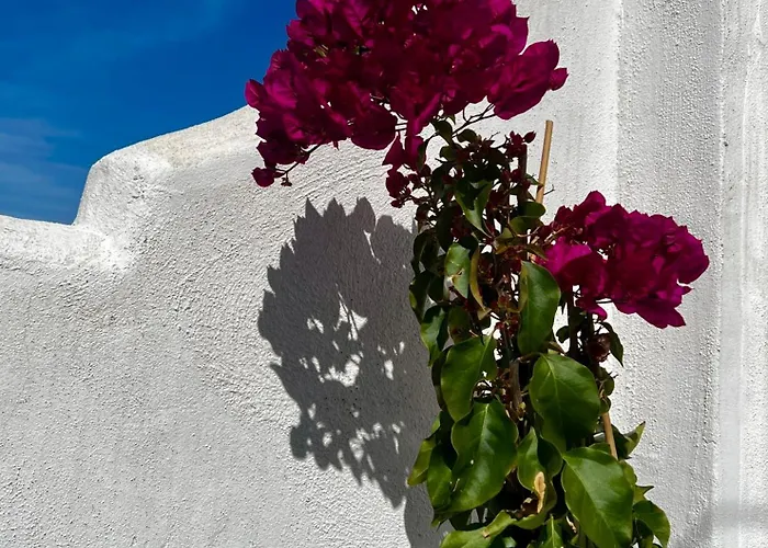 Lägenhet Casa San Miguel