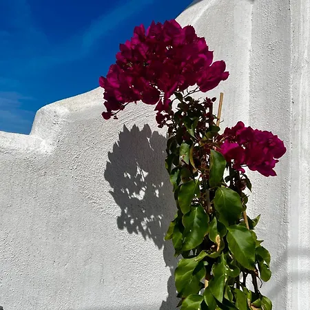 Apartament Casa San Miguel