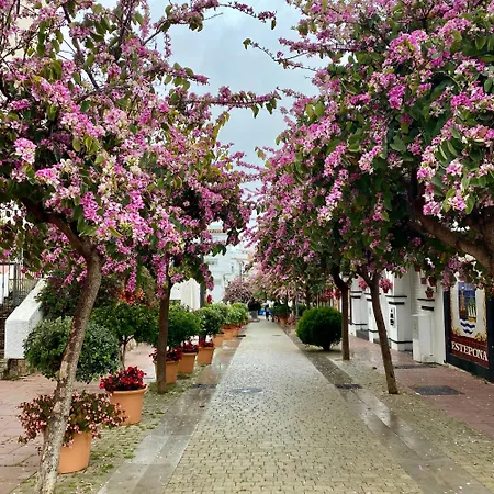 公寓 Casa San Miguel *